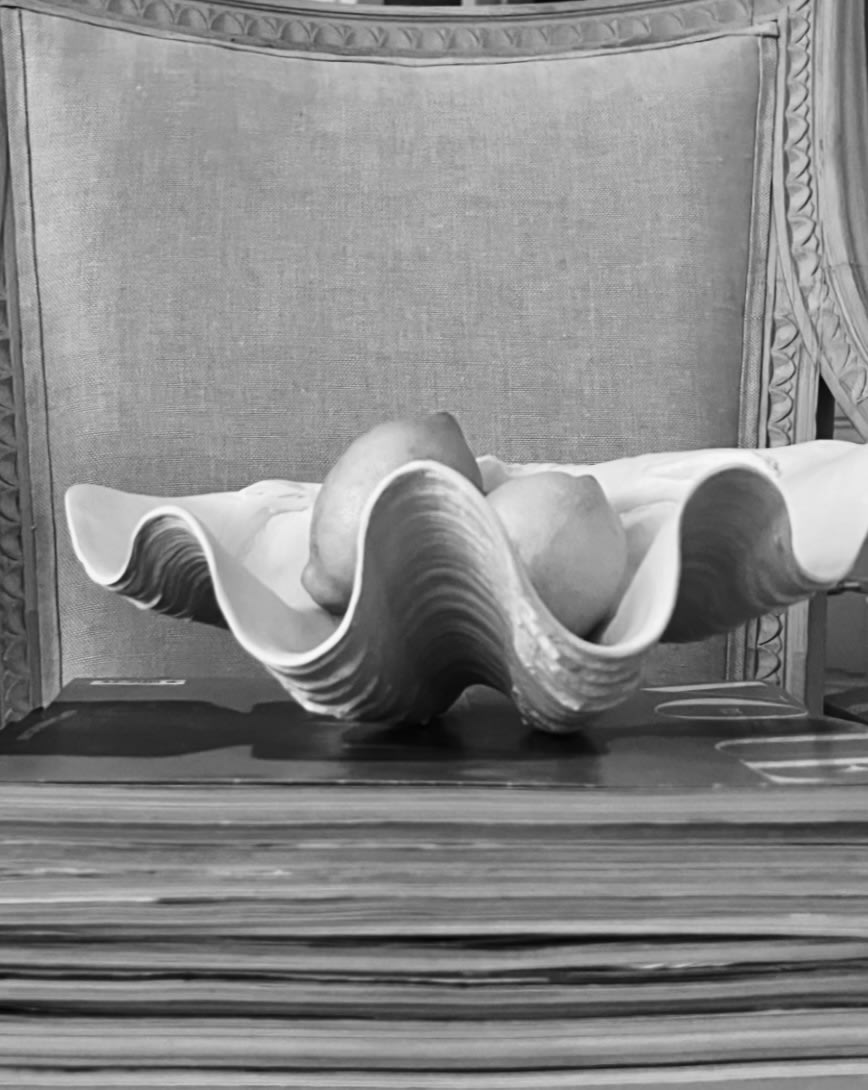 Handmade Clam Shell Decorative Bowl - Image 5