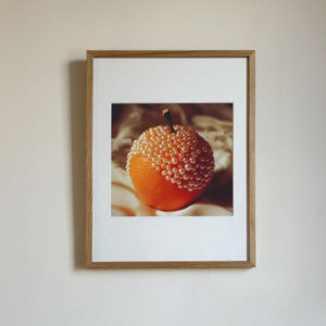Orange Still Life Photography Print