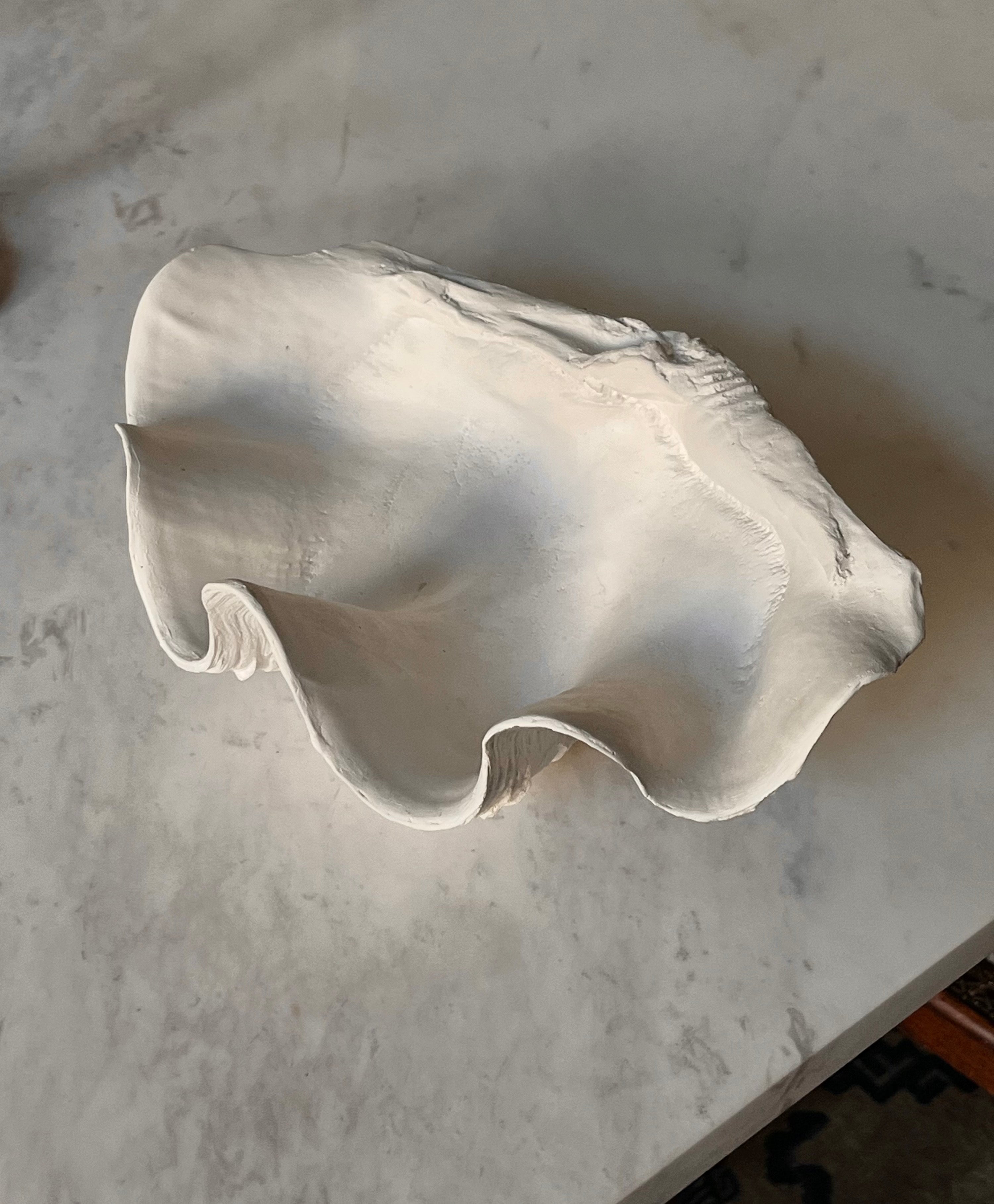 Handmade Clam Shell Decorative Bowl - Image 3