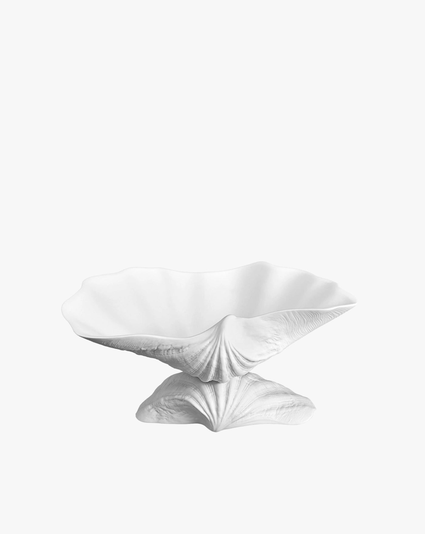 Large White Porcelain Shell Bowl - Image 4